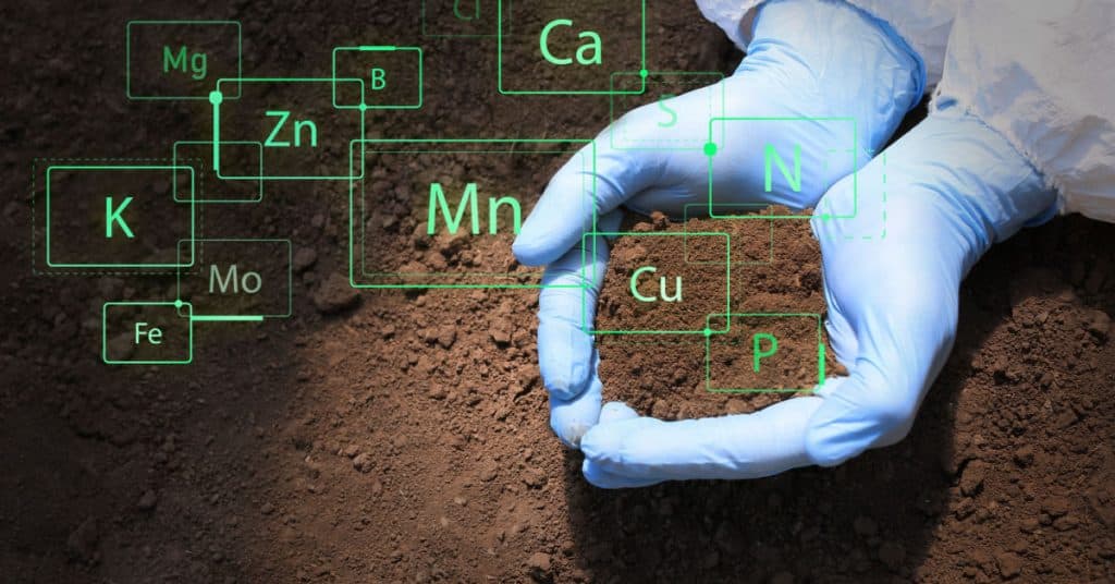 Soil Remediation & Testing in Chester
